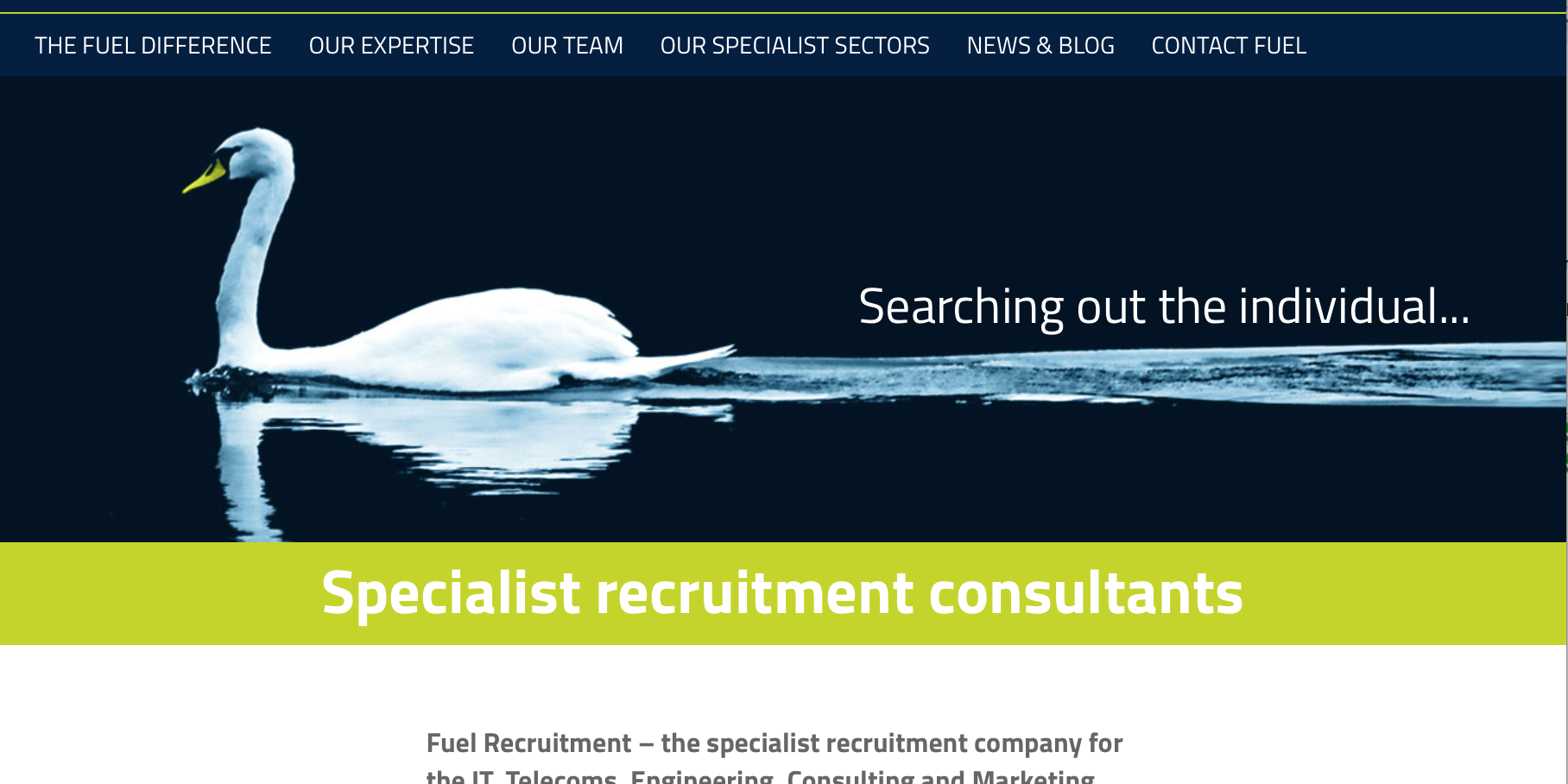 Screen Shot 2016-01-29 at 12.06.53 screen shot of website
